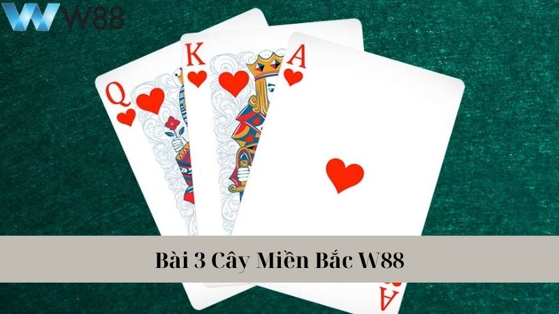 Bài 3 Cây Miền Bắc W88