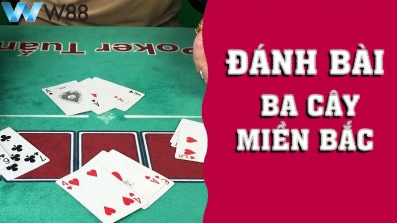 Tìm hiểu thông tin Bài 3 Cây Miền Bắc W88